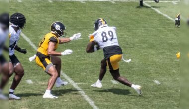 Kozora: Training Camp Evaluations On Five Overlooked Steelers' Players