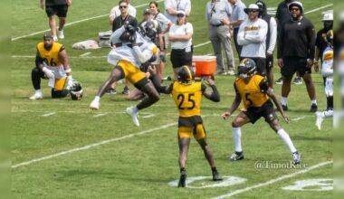 Steelers veterans preseason