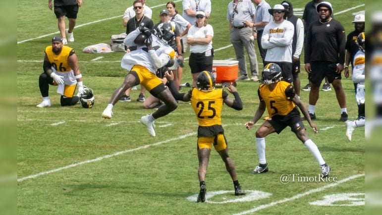 Steelers veterans preseason