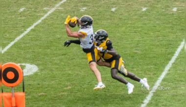 Max Hurleman D'Shawn Jamison Steelers