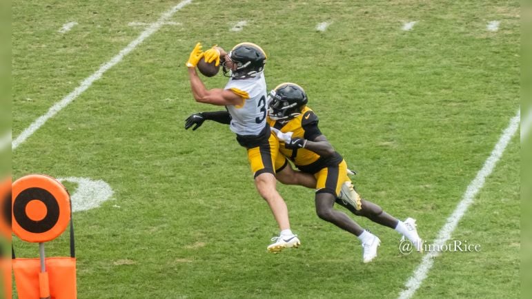 Max Hurleman D'Shawn Jamison Steelers