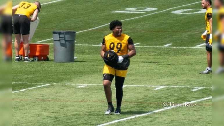 Steelers rookie d-line