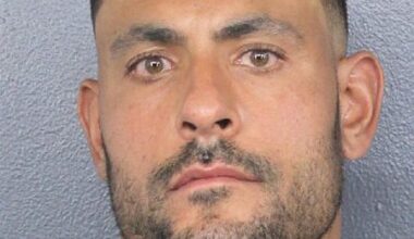 Miami Dolphins outside linebackers coach Ryan Crow released on bond – Sun Sentinel