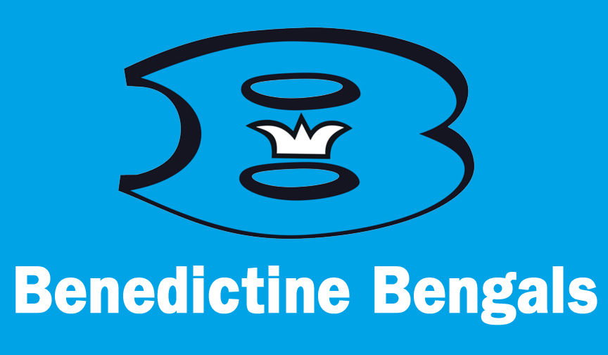 Bengals overcome turnovers to win, 21-19 – News-Herald