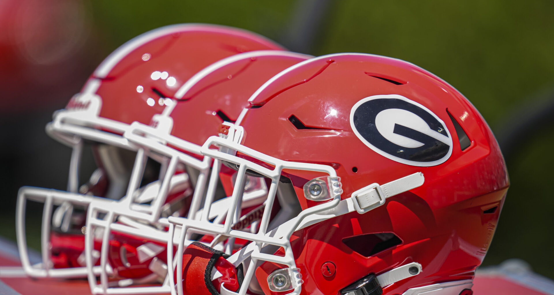 Daniel Harris Georgia