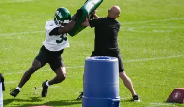 New York Jets cut son of ESPN analyst image