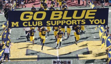 Truth of Michigan sign stealing lies at bottom of murky pond