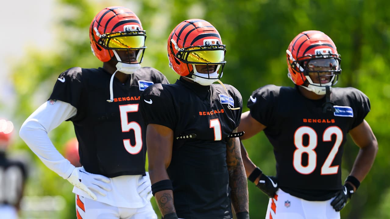 Bengals Prep For Tuesday's Cut To 53