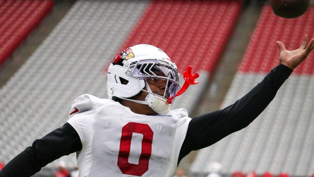 Cardinals CB Will Johnson makes a one-handed catch during training camp...