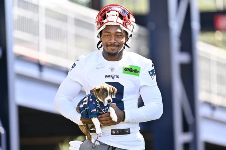 New England Patriots schedule predictions, Patriots predictions