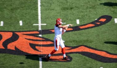 cincinnati-bengals-nfl-sports