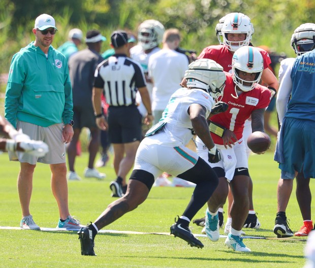 Dolphins quarterback Tua Tagovailoa (1) hands off to running back Jaylen Wright during a joint practice with the Bears at Halas Hall on Aug. 8, 2025, in Lake Forest. (Stacey Wescott/Chicago Tribune)