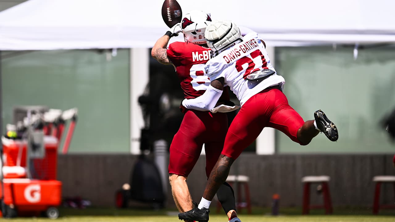 A look at the Cardinals' biggest roster questions before the Raiders preseason finale