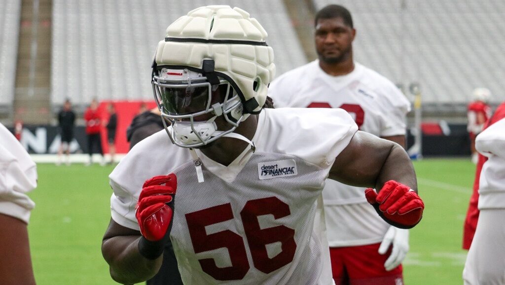 Cardinals' Darius Robinson is having fun in Year 2...