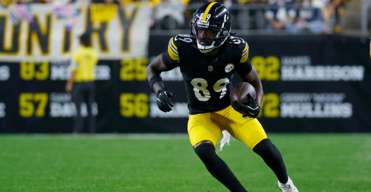 Steelers WR suffers injury vs. Panthers
