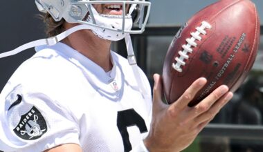Raiders 2025: AJ Cole remains an elite punter