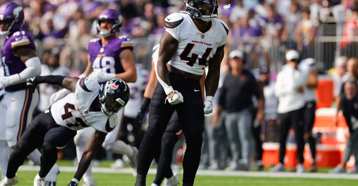 Houston Texans vs. Carolina Panthers: Players to Watch