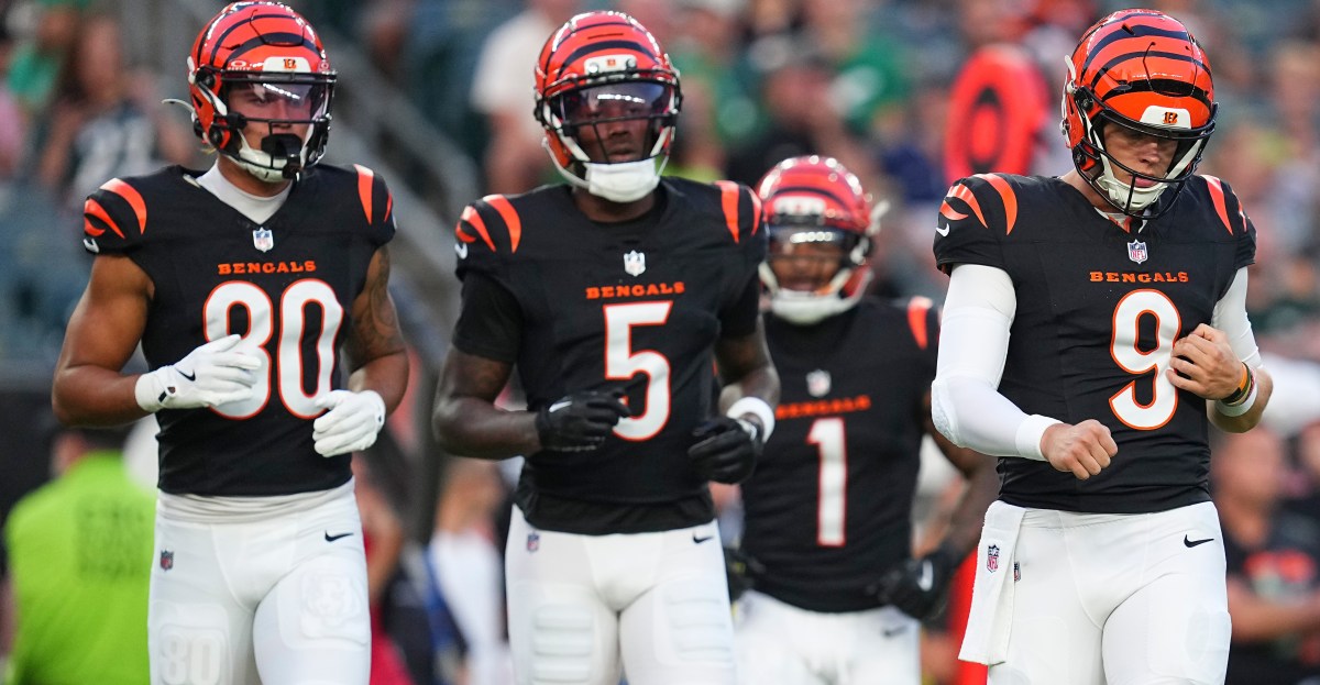 Cincinnati Bengals betting preview for the 2025 NFL season