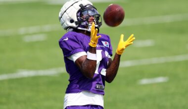 Vikes Views: Should the Vikings Add a Free Agent WR?