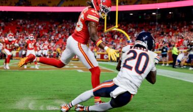 Are the Bears Who We Think They Are?