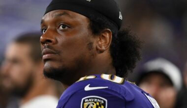 Pittsburgh Steelers sign former Ravens offensive tackle