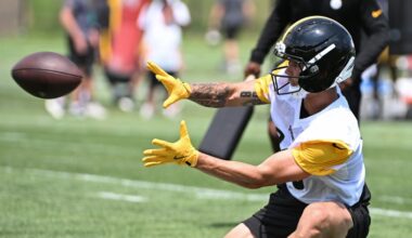 Steelers training camp: Should Pittsburgh be worried about WR Roman Wilson?