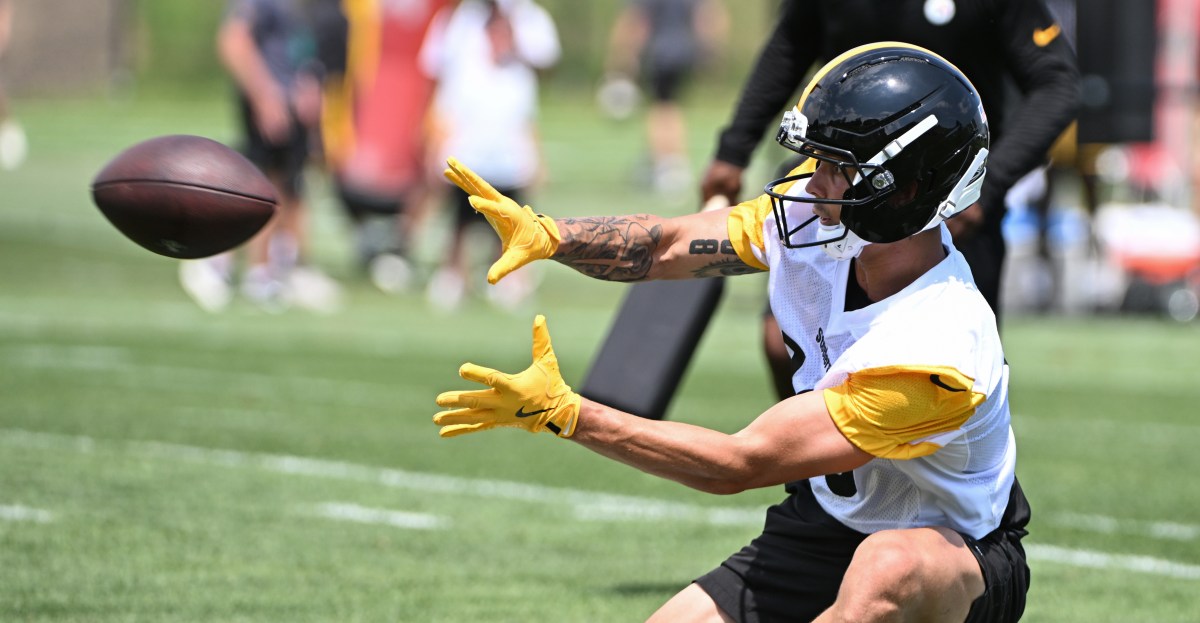Steelers training camp: Should Pittsburgh be worried about WR Roman Wilson?