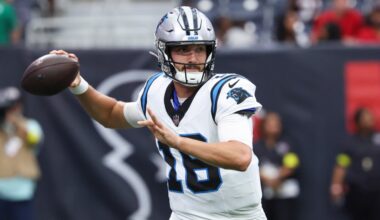 Panthers vs Steelers: Offensive preview