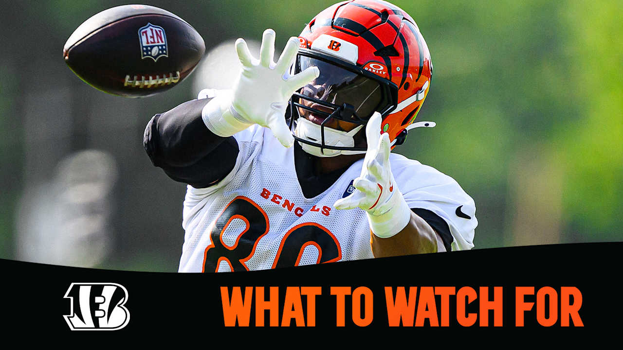 Bengals Commanders Preview Preseason Week 2