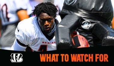 Bengals Eagles Preview Preseason Week 1