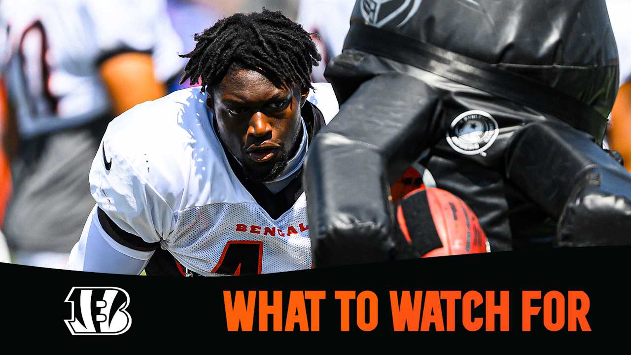 Bengals Eagles Preview Preseason Week 1