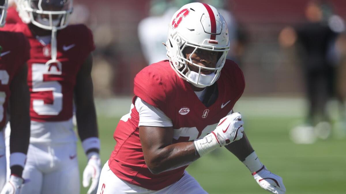 Stanford vs. Hawaii prediction, props, bets, odds: Model's top free college football picks for Week 0, 2025