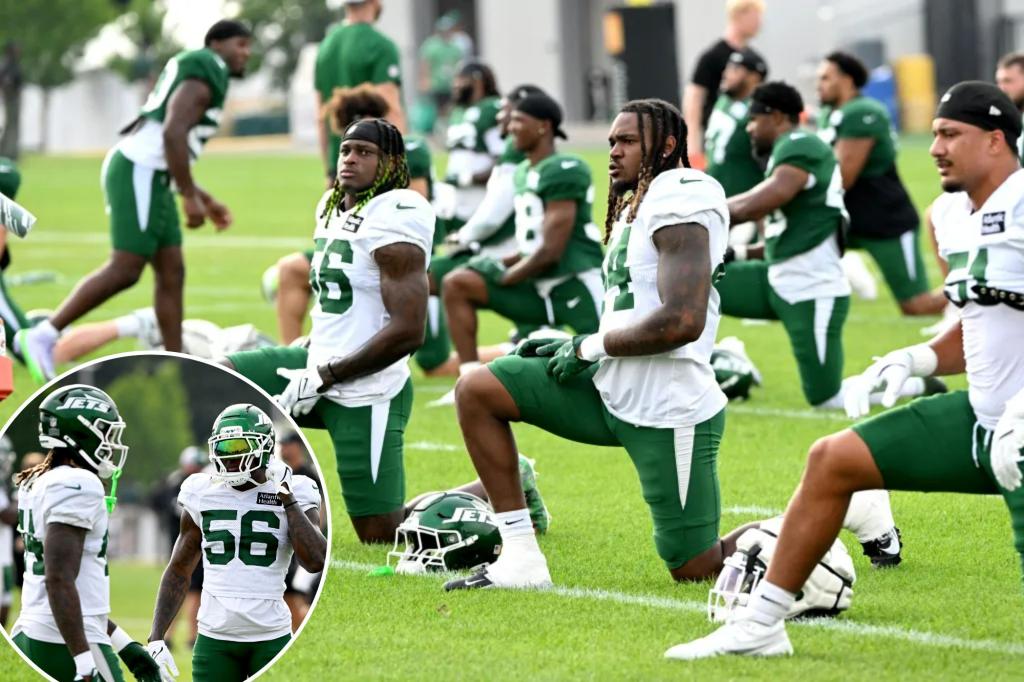 Jets' Quincy Williams, Jamien Sherwood are on a lofty mission