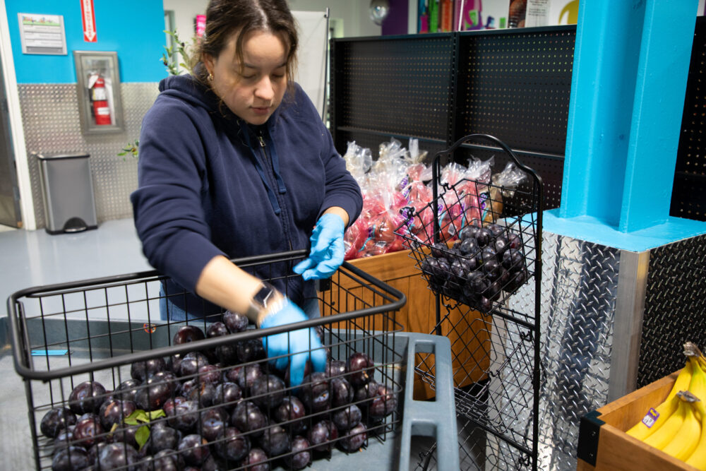 Fresh produce ready for neighbors and to go to partners.