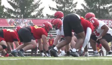 Bulldogs aim to dominate Division 2 football once again – 9&10 News