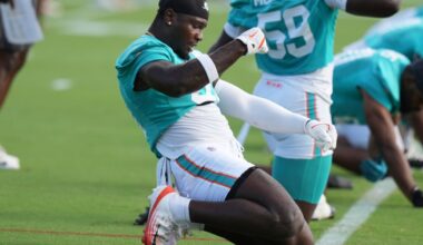 Dolphins' Willie Gay brings energy as training camp standout