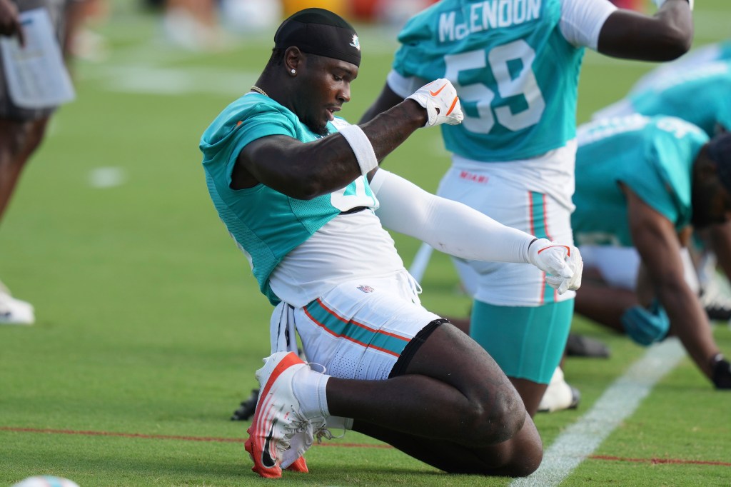 Dolphins' Willie Gay brings energy as training camp standout