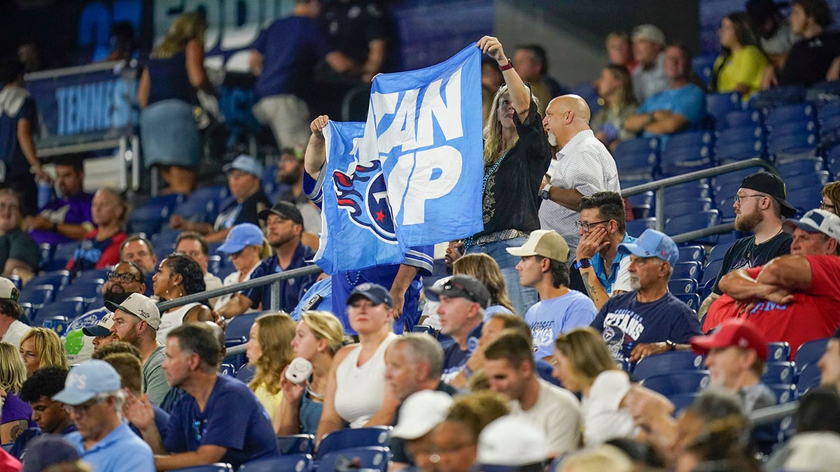 Titans fans cheer