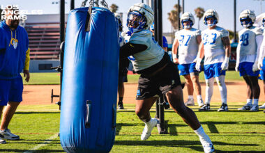 More confident Tyler Davis ready for more to be asked of him by Rams defense