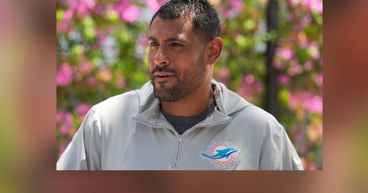 Dolphins coach arrested on domestic battery charge