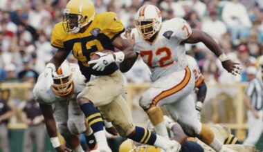 Ex-NFL player convicted in dogfighting venture... again