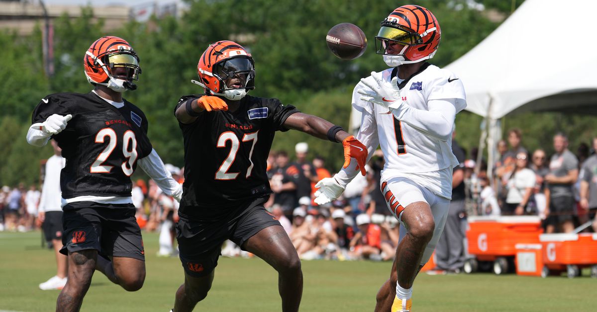 Sunday Bengals Training Camp Open Thread and News (8/3)
