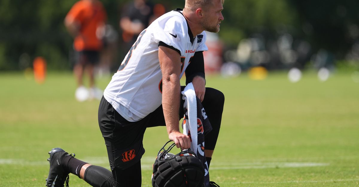 Mike Gesicki Injury: Bengals TE appears to tweak hamstring at open practice