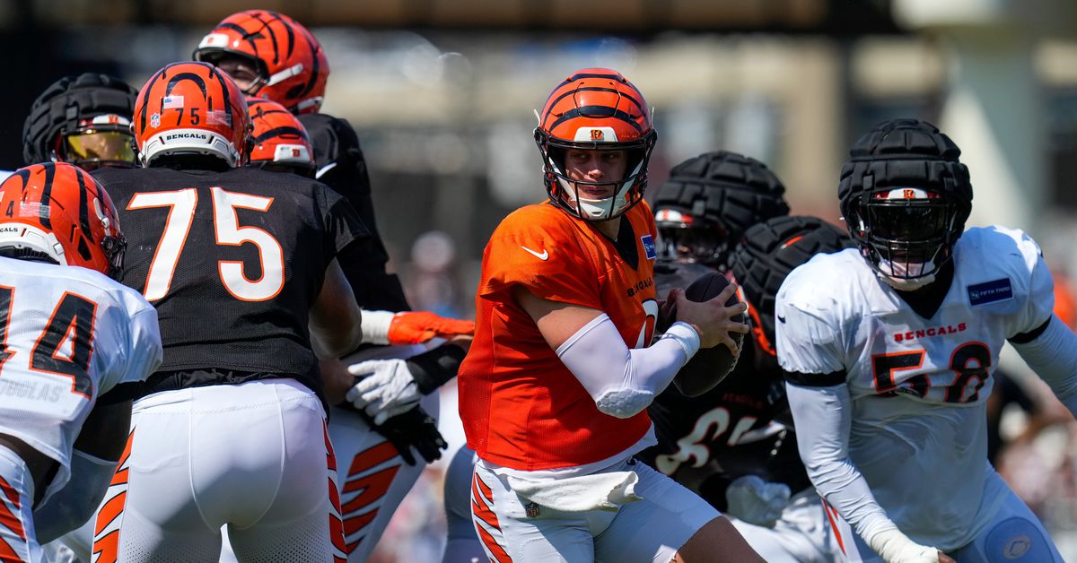Bengals Training Camp: Sunday Twitter recap and highlights