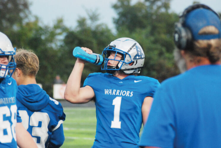 Mid-Ohio Valley Prep Football Statistical Leaders | News, Sports, Jobs