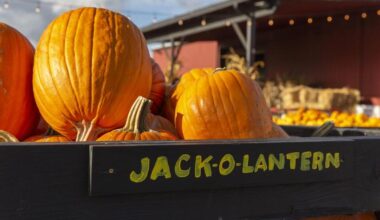 Make plans now for Colts Fall Fest events