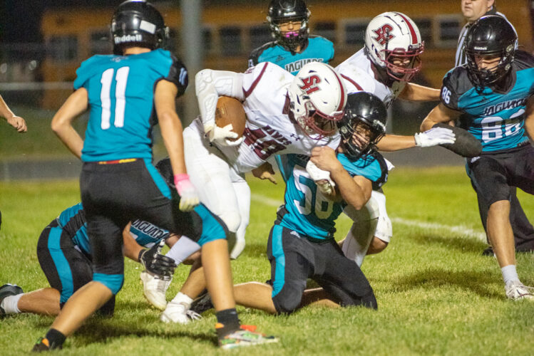 Hawks can’t stop Jaguars | News, Sports, Jobs