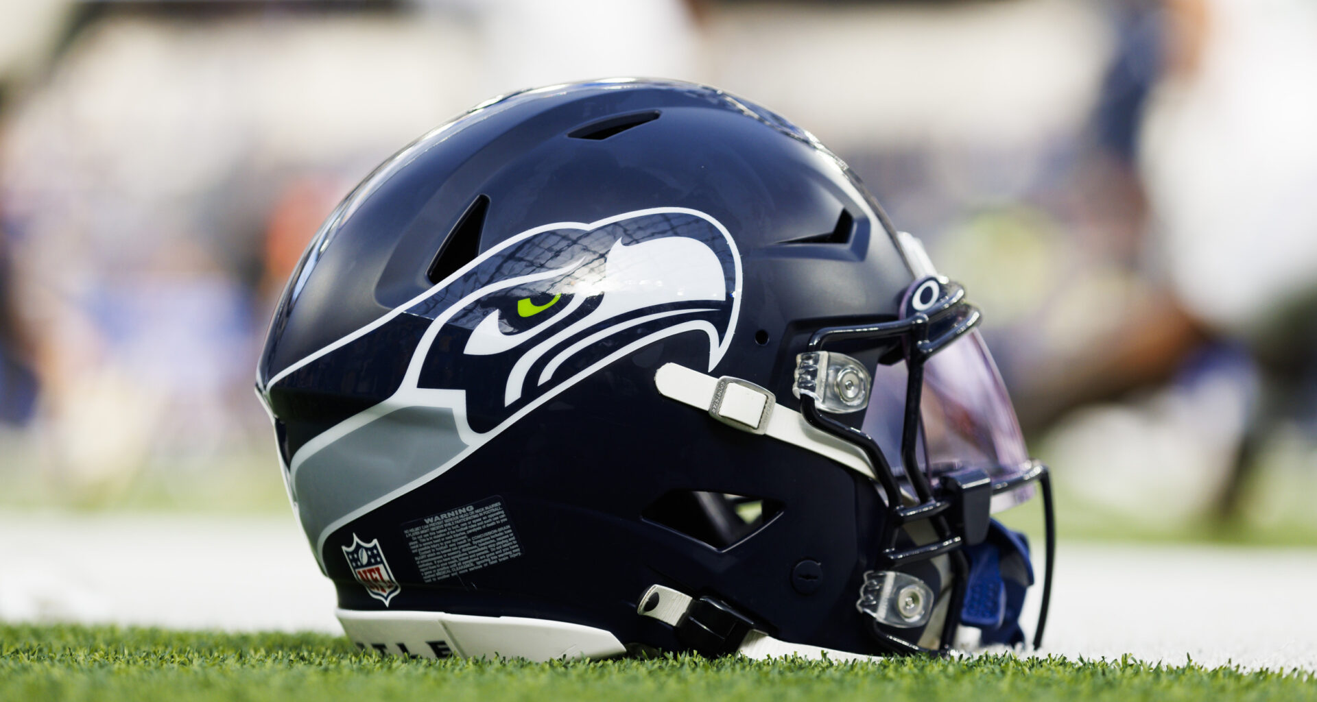 Seattle Seahawks helmet