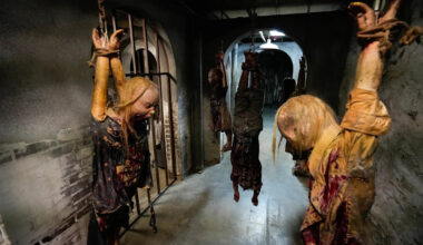 Yahoo entertainment home