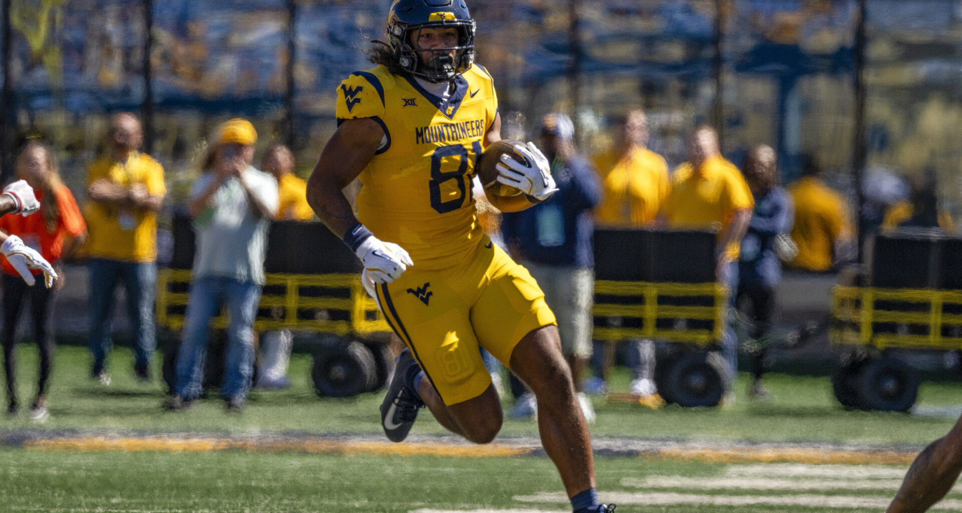 West Virginia Mountaineers